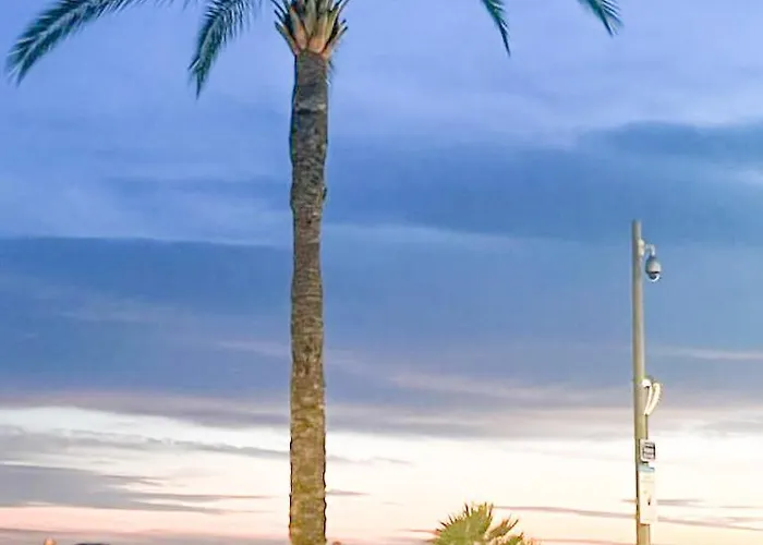 Les Bouleaux * Cagnes-sur-Mer